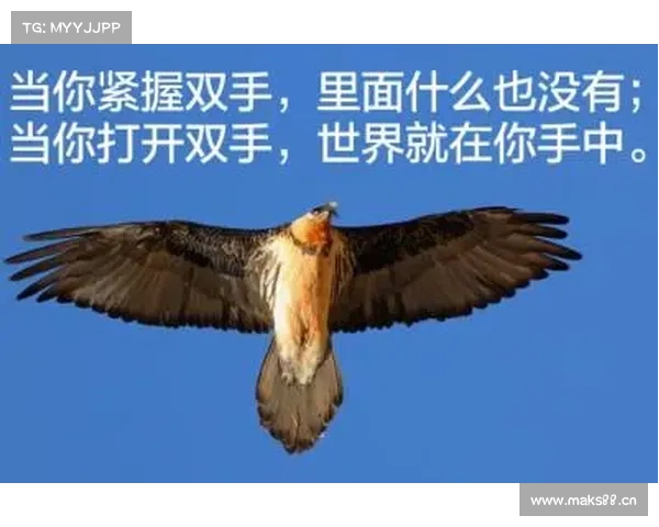 与众06,大厂的功力,让你开过一次就忘不掉! 与众06,大厂的功力,让你开过一次就忘不掉!
